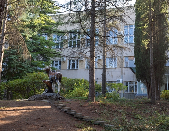 Санаторий «Алуштинский» Алушта