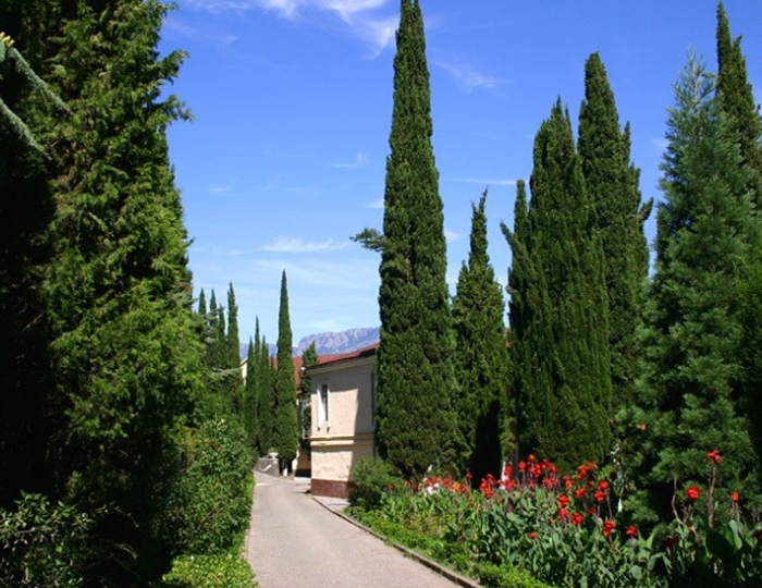 Санаторий «Алуштинский» Алушта